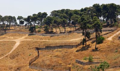 Jerusalem_22-7-2024 (50).JPG