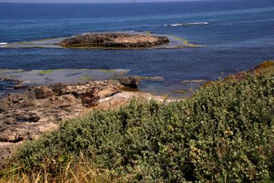 Tel-Dor_5-5-2021 (52).JPG