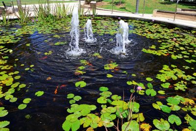Kiryat-Bialik_22-8-2024 (92).JPG