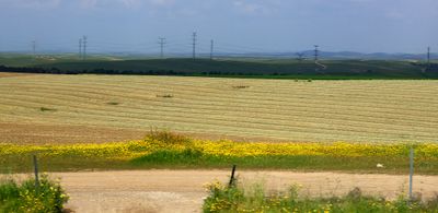 Negev_14-3-2024 (87).JPG