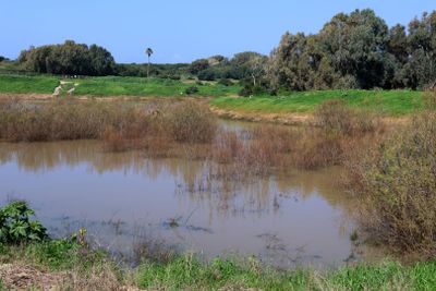 Hame-Gaash_25-2-2024 (72).JPG