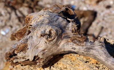 Nahariya_6-2-2024 (54).JPG
