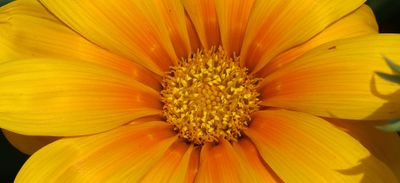 Home-Garden_27-5-2024 (36).JPG