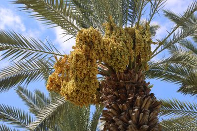 Kishon-Haifa_3-9-2024 (14).JPG
