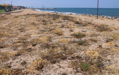 Nahariya_22-6-2024 (13).JPG
