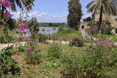 Ein-Afek_5-5-2024 (2).JPG