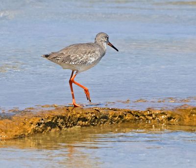 Nahariya_6-9-2024 (83).JPG