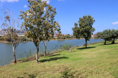 Kishon-Haifa_3-9-2024 (5).JPG