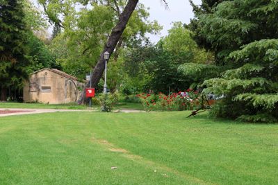 Hazorea_30-4-2024 (42).JPG