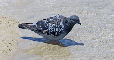 Kiryat-Hayim_3-7-2024 (8).JPG
