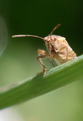 Home-Garden_12-5-2024 (24).JPG