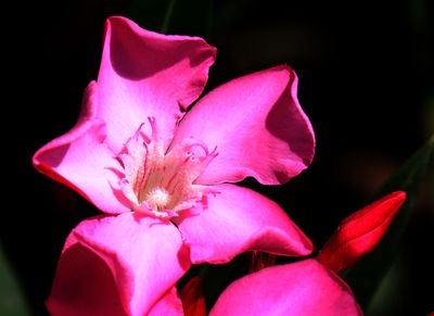 Kiryat-Bialik_29-9-2024 (42).JPG