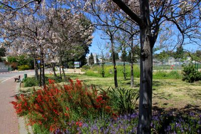 Kiryat-Bialik_3-4-2023 (57).JPG