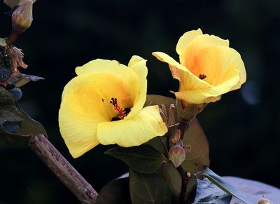 Nahariya_7-5-2024 (70).JPG