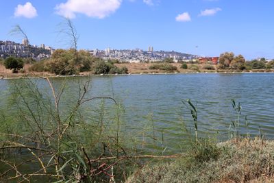 Kishon-Haifa_3-9-2024 (3).JPG