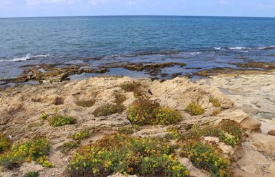 Nahariya-13-10-2024 (27).JPG