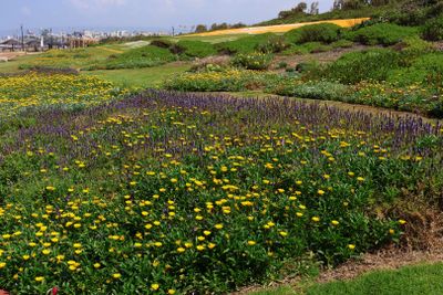 Nahariya_11-4-2024 (5).JPG