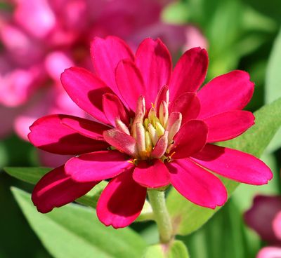 Home-Garden_11-10-2024 (5).JPG