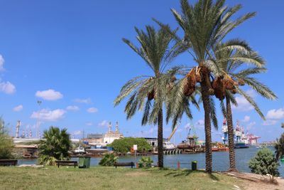 Kishon-Haifa_3-9-2024 (47).JPG