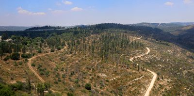 Jerusalem-Mountains_21-7-2024 (57).JPG