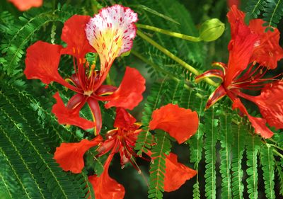 Kiryat-Bialik_12-9-2024 (68).JPG