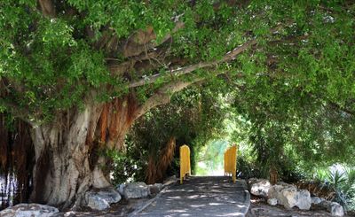 Kiryat-Motskin_18-8-2024 (2).JPG