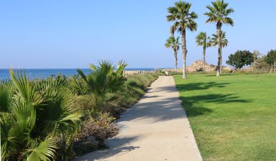 Caesarea_22-11-2024 (46).JPG