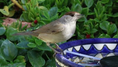 Home-Garden_16-11-2024 (204).JPG