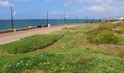 Nahariya-13-10-2024 (35).JPG