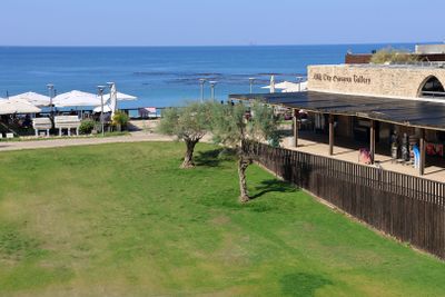 Caesarea_22-11-2024 (28).JPG