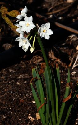 Camon_6-1-2025 (14).JPG