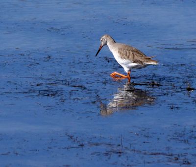 Atlit-Salt-Pools_13-11-2024 (60).JPG