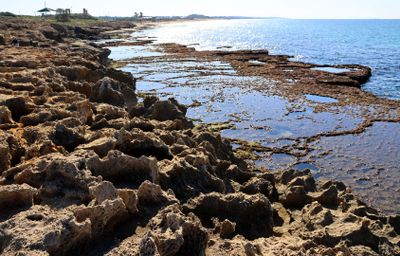 Ahziv_3-1-2025 (11).JPG