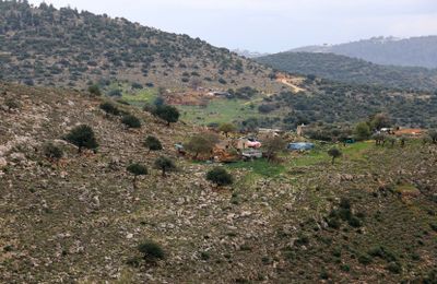 Karmiel_7-2-2025 (15).JPG