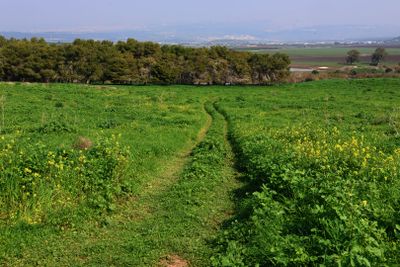 Ein-Afek_2-2-2025 (22).JPG