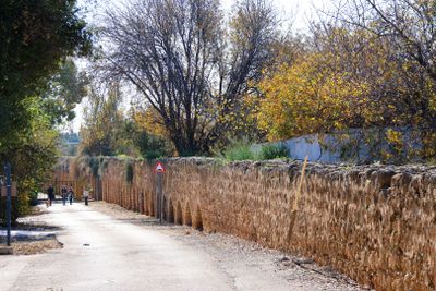 Regba_18-1-2025 (8).JPG