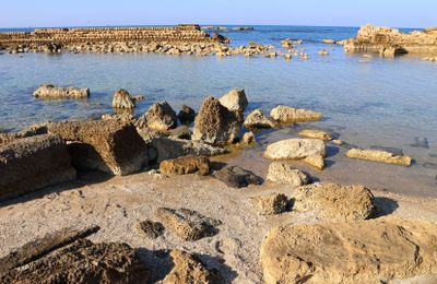 Caesarea_22-11-2024 (55).JPG