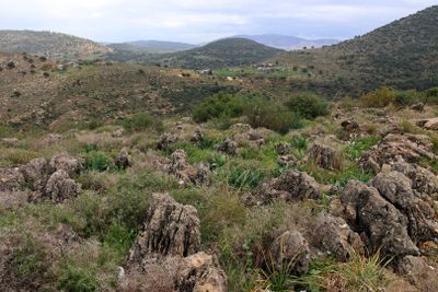 Karmiel_7-2-2025 (4).JPG