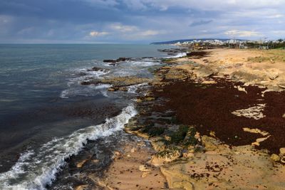 Nahariya_12-2-2025 (38).JPG