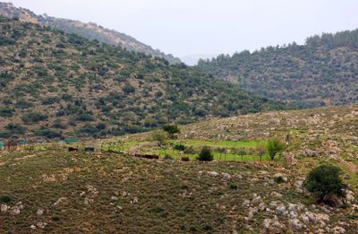 Karmiel_7-2-2025 (14).JPG
