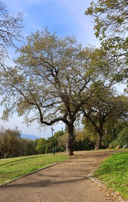 Kiryat-Tivon_16-1-2025 (31).JPG