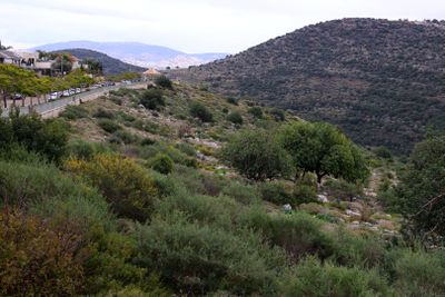 Karmiel_7-2-2025 (23).JPG