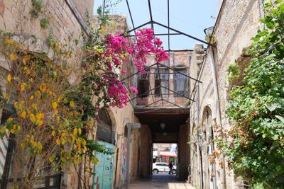 Yafo_2-5-2024 (11).JPG
