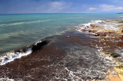 Nahariya_12-2-2025 (46).JPG