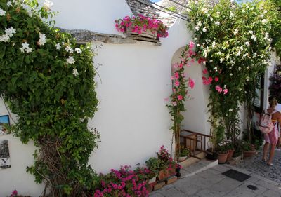 Alberobello_18-8-2014 (86).JPG