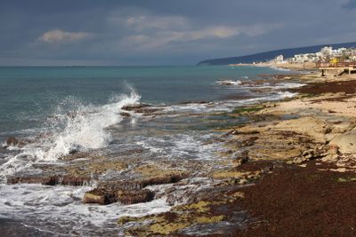 Nahariya_12-2-2025 (48).JPG