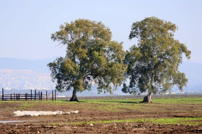 Ein-Afek_2-1-2025 (32).JPG