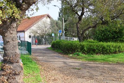 Kiryat-Tivon_16-1-2025 (28).JPG