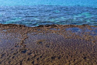 Ahziv_3-1-2025 (10).JPG