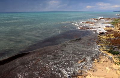 Nahariya_12-2-2025 (45).JPG
